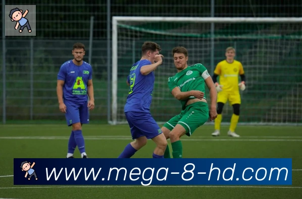 直播8荣誉